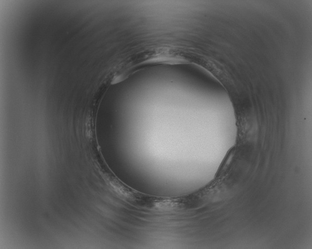 X0000073920470200608251554