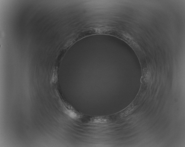 X0000073920471200608251554