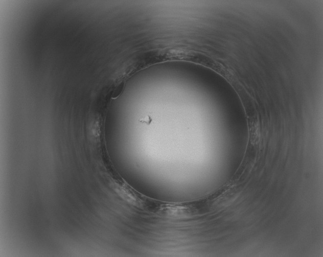 X0000073920472200608251554