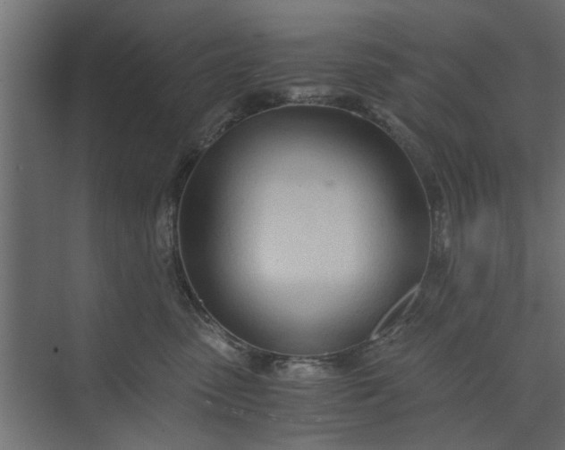 X0000073920475200608251554