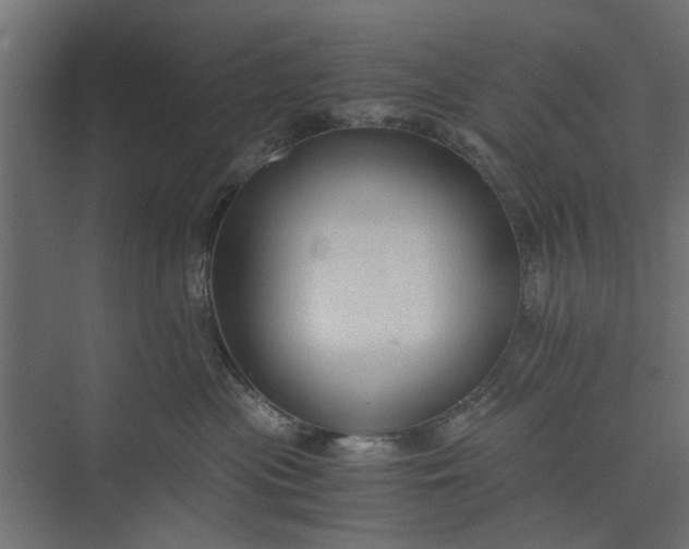 X0000073920477200608251554