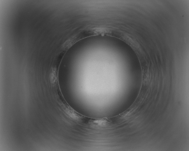 X0000073920478200608251554