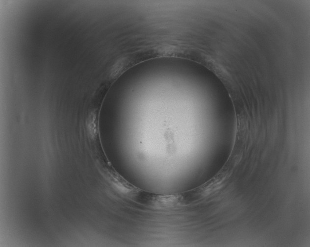 X0000073920479200608251554