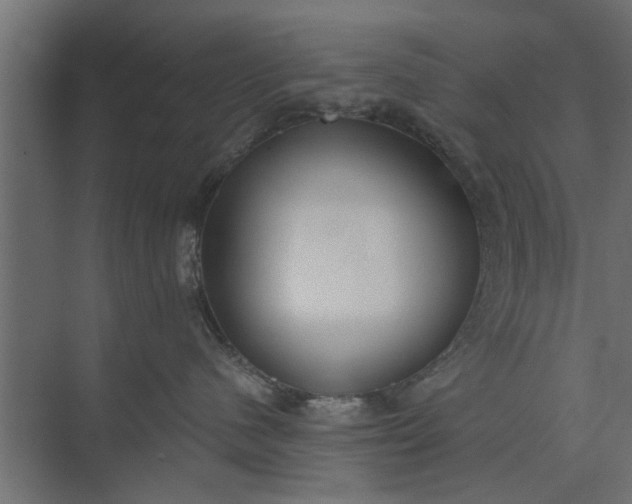 X0000073920480200608251554