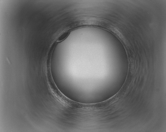 X0000073920482200608251553