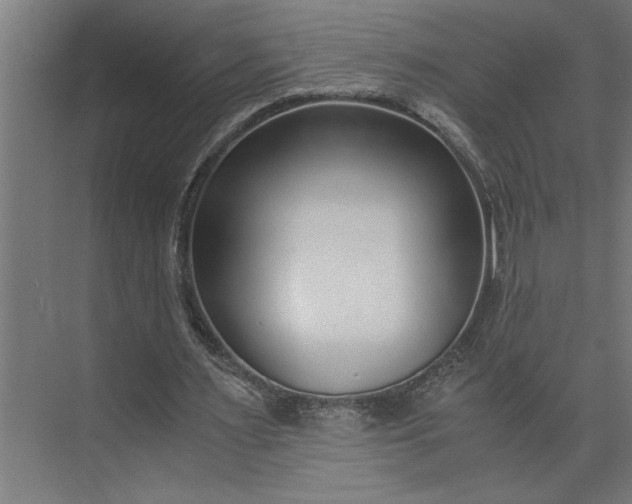 X0000073920483200608251553