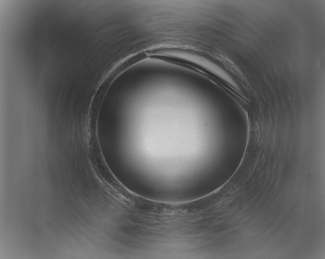 X0000073920484200608251553