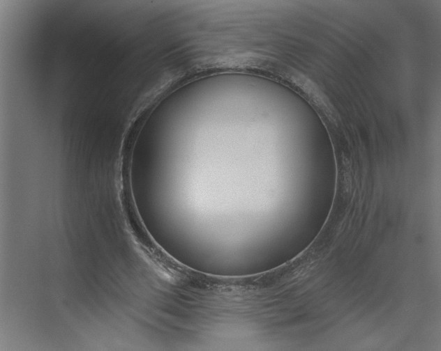 X0000073920486200608251553