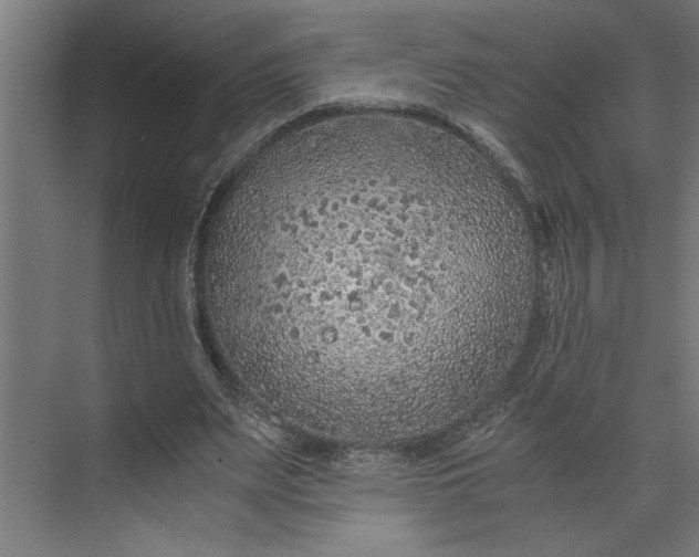 X0000073920487200608251553