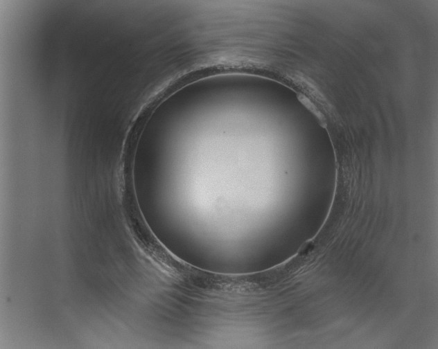 X0000073920488200608251553