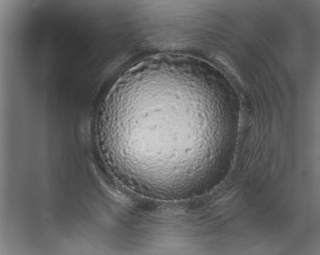 X0000073920491200608251553