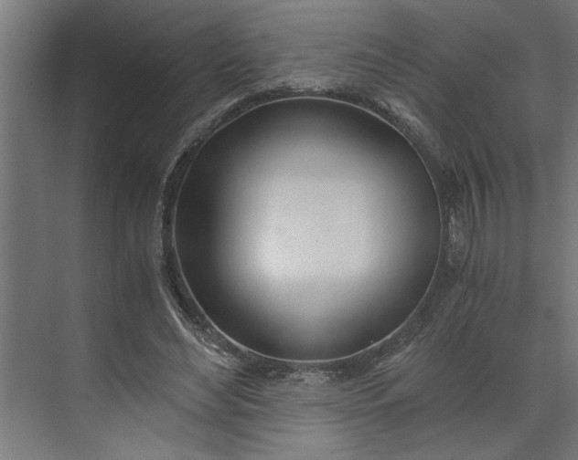 X0000073920492200608251553