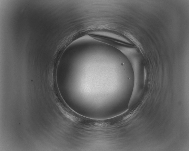 X0000073920493200608251553