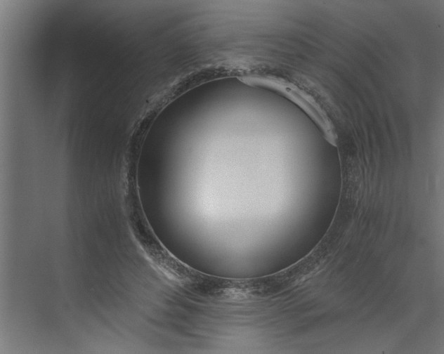 X0000073920496200608251553