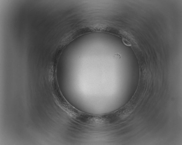 X0000073920498200608251553