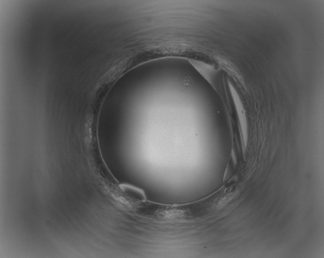 X0000073920501200608251553