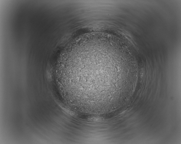 X0000073920503200608251553