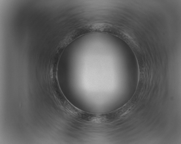 X0000073920504200608251553