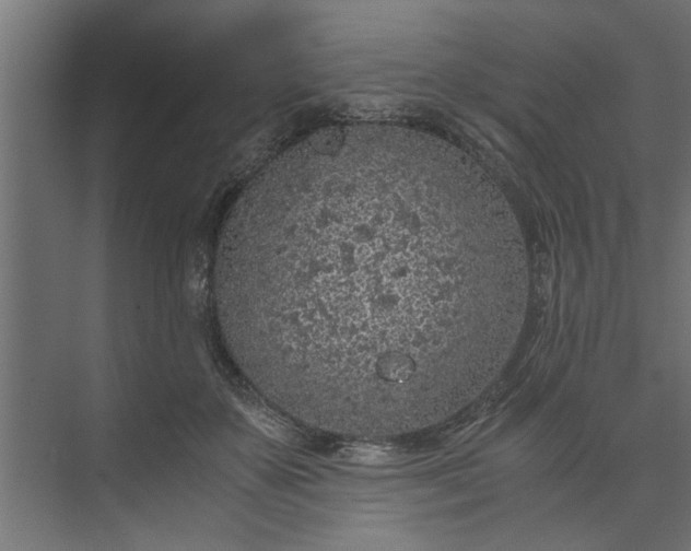 X0000073920507200608251553