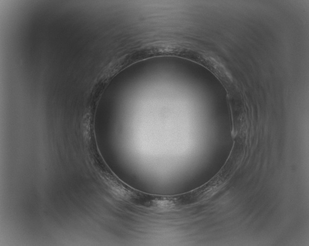 X0000073920509200608251553