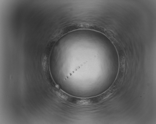 X0000073920511200608251553