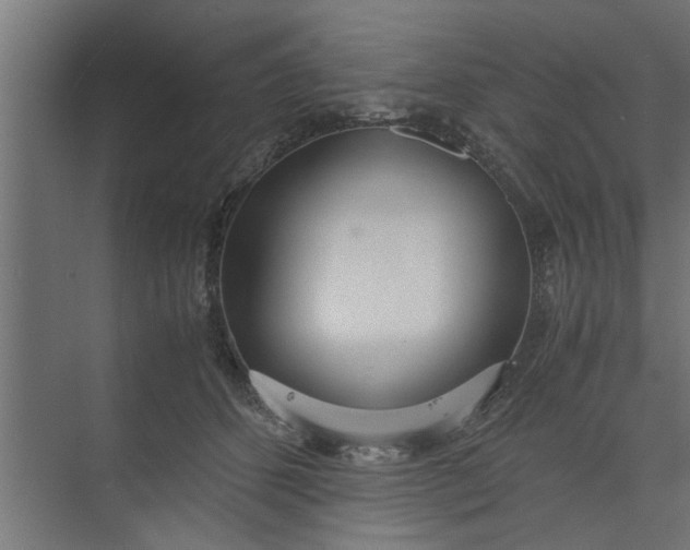 X0000073920512200608251553