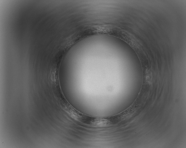 X0000073920514200608251553