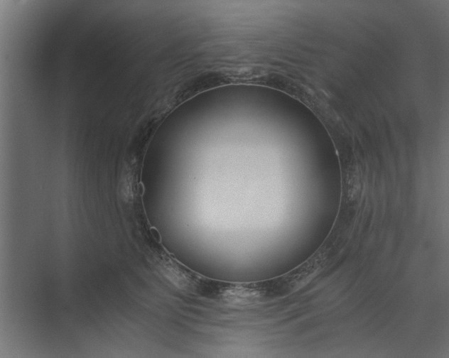 X0000073920515200608251553