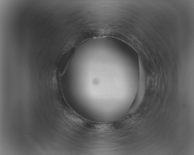 X0000073920516200608251553