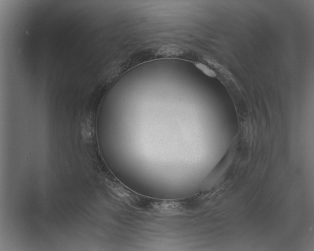 X0000073920517200608251553