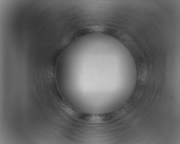 X0000073920518200608251553