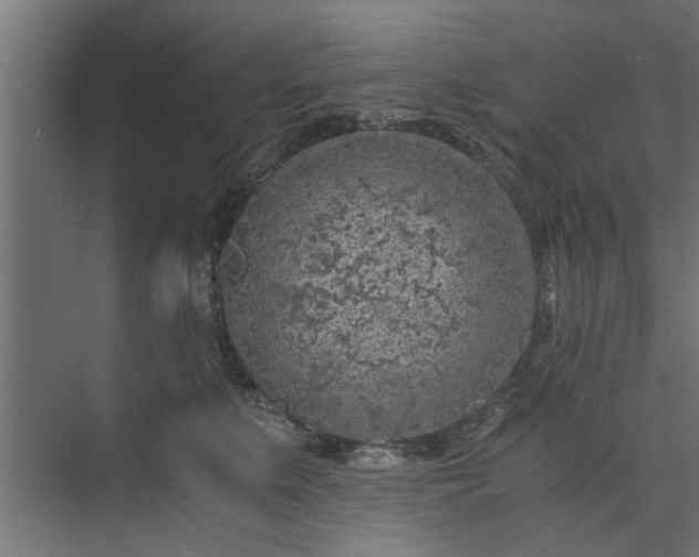 X0000073920519200608251553