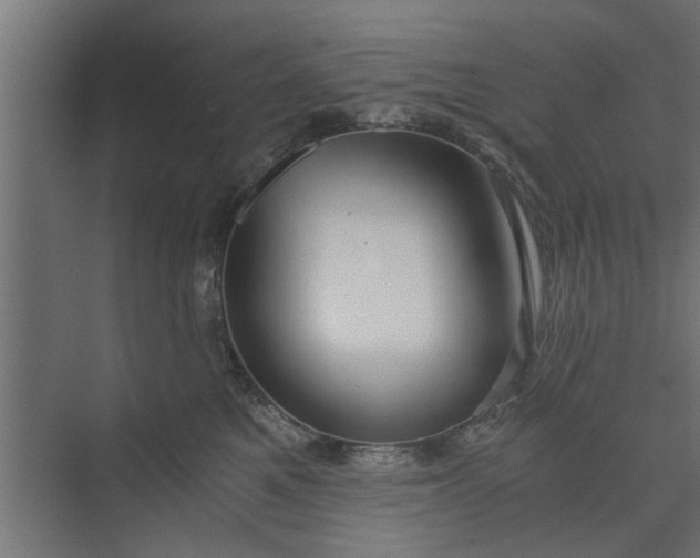 X0000073920521200608251552