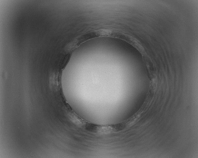 X0000073920525200608251552