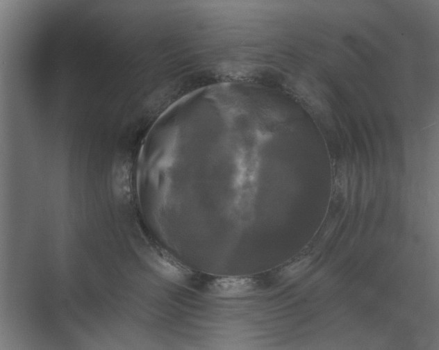 X0000073920526200608251552