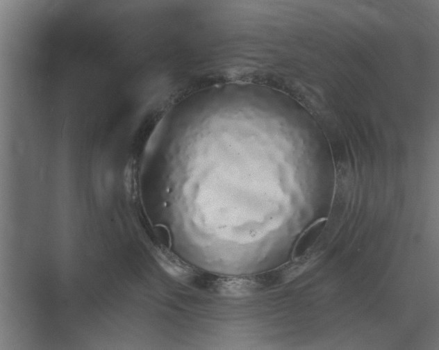 X0000073920527200608251552