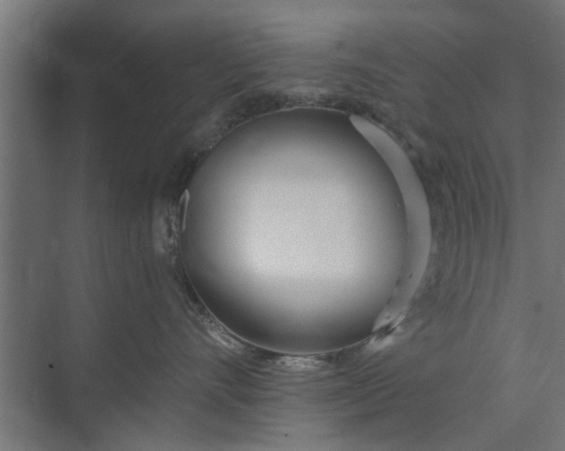 X0000073920528200608251552