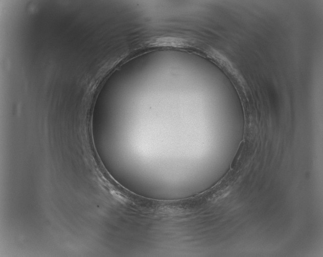 X0000073920529200608251552