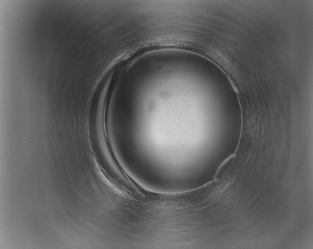 X0000073920530200608251552