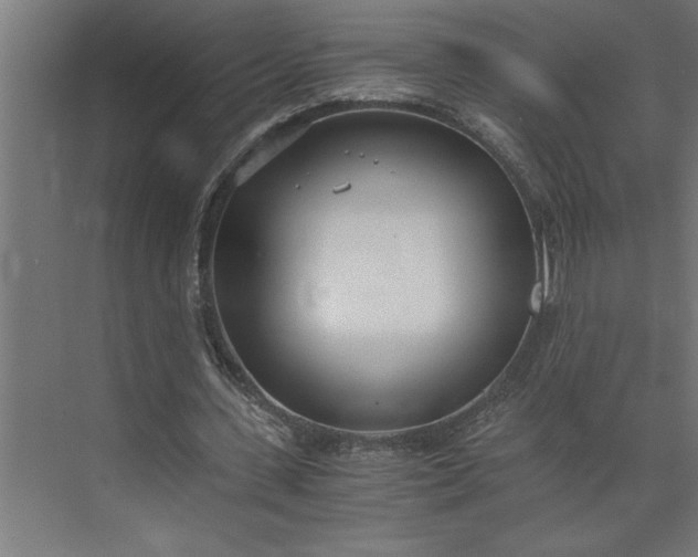 X0000073920531200608251552