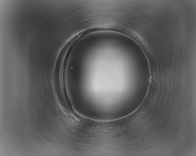 X0000073920532200608251552