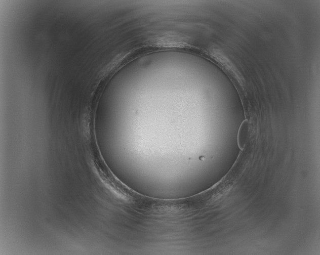 X0000073920533200608251552