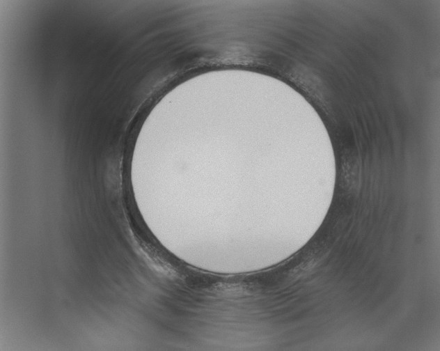 X0000073920534200608251552