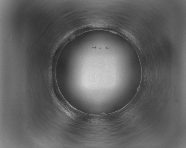 X0000073920535200608251552