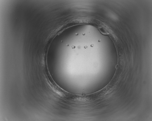 X0000073920537200608251552