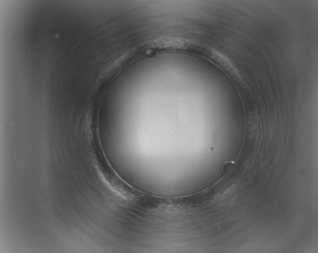 X0000073920538200608251552