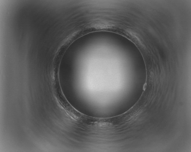 X0000073920539200608251552