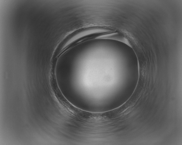 X0000073920540200608251552