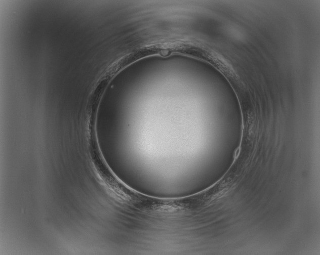 X0000073920542200608251552