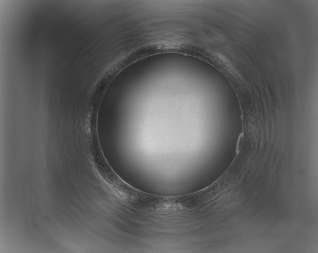 X0000073920543200608251552